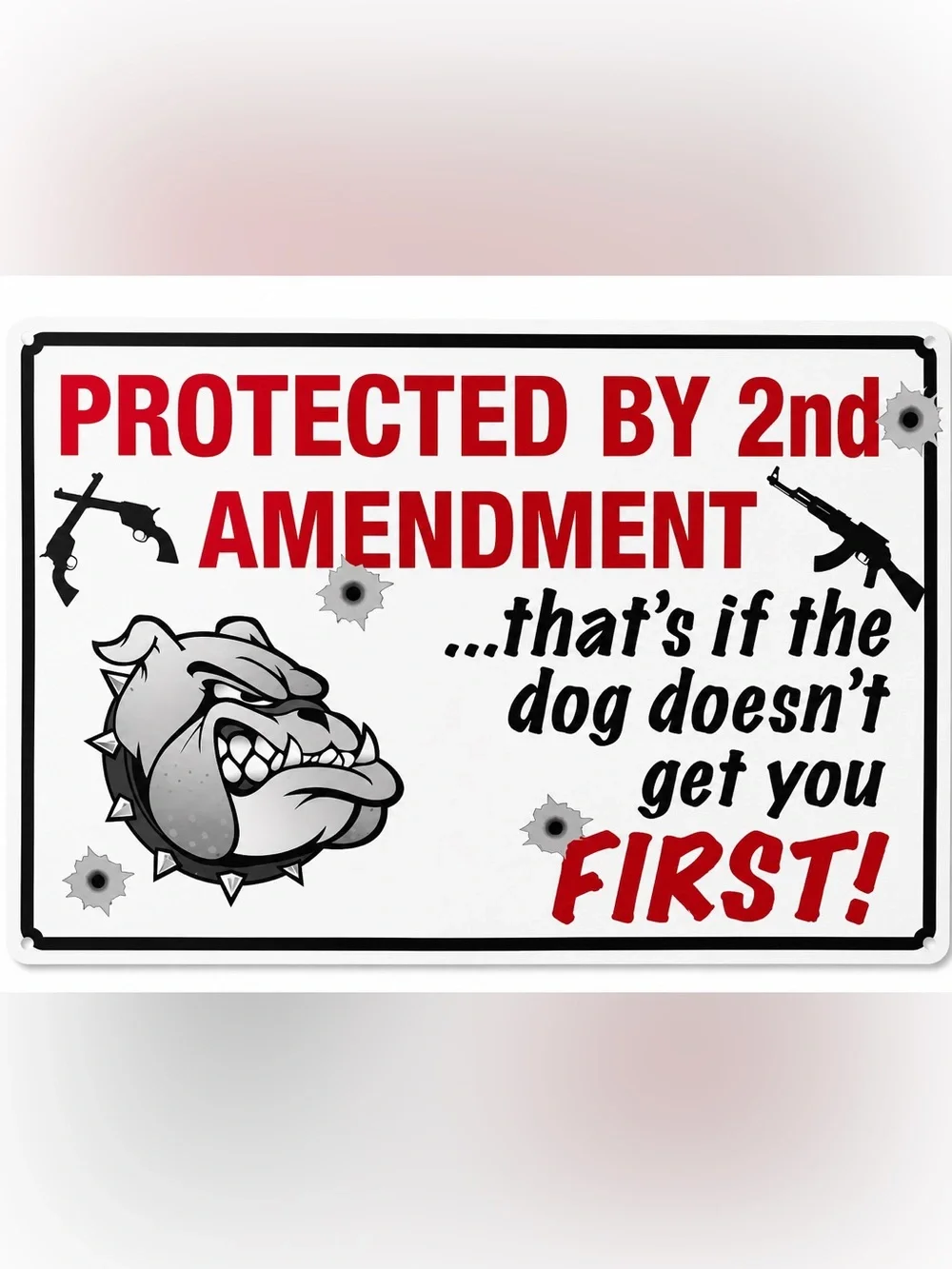 NEW Protected By 2nd Amendment Metal Sign